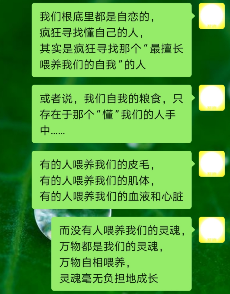 我们根底里都是自恋的疯狂寻找懂自己的人