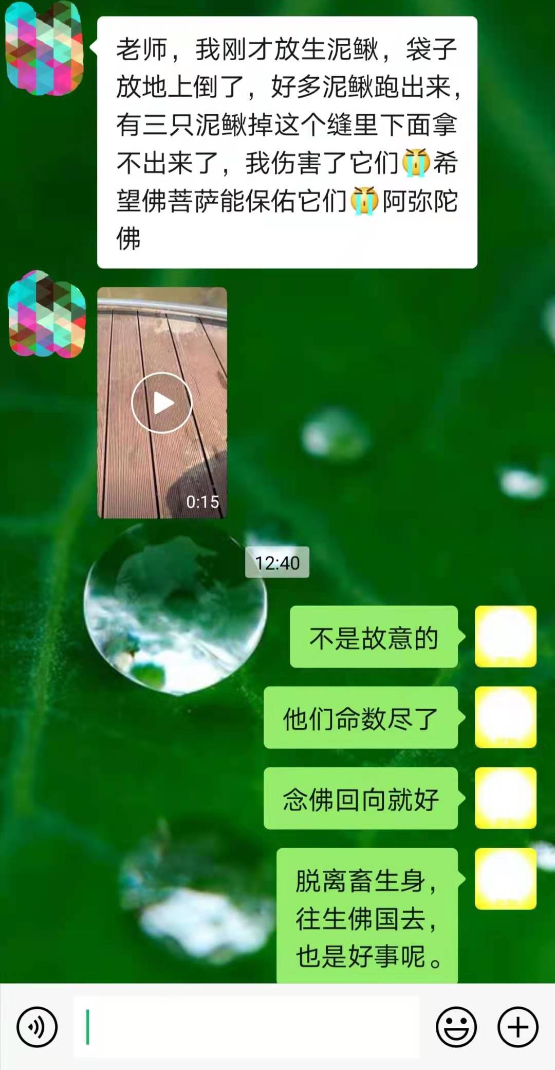 ​不是故意的  他们命数尽了  念佛回向就好