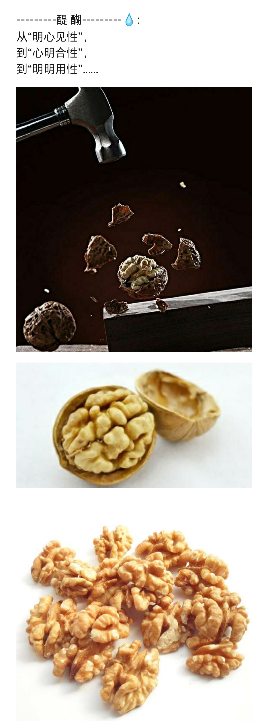 从“明心见性”， 到“心明合性”， 到“明明用性”