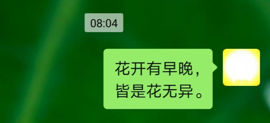 花开有早晚，皆是花无异