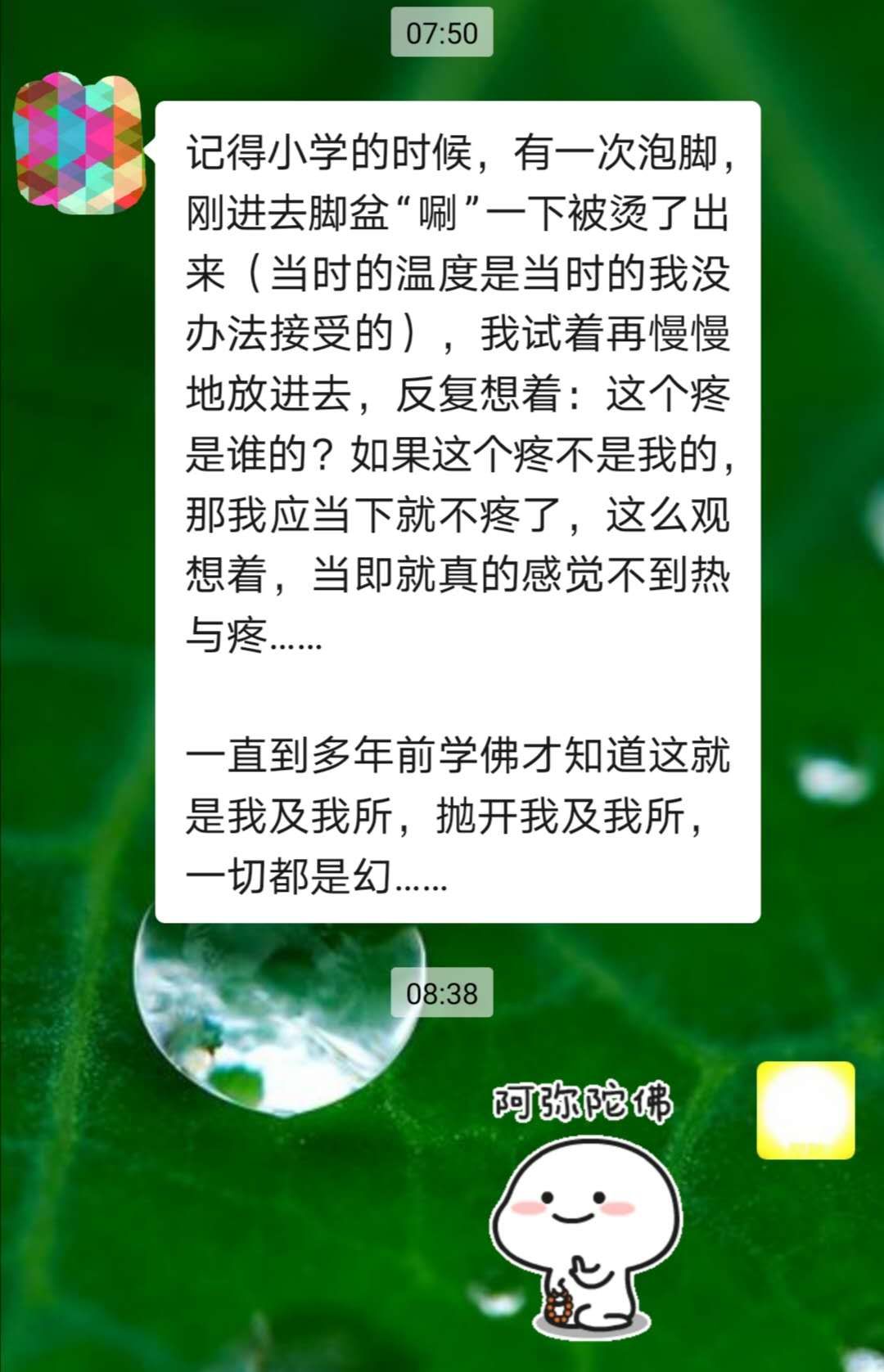 抛开我及我所