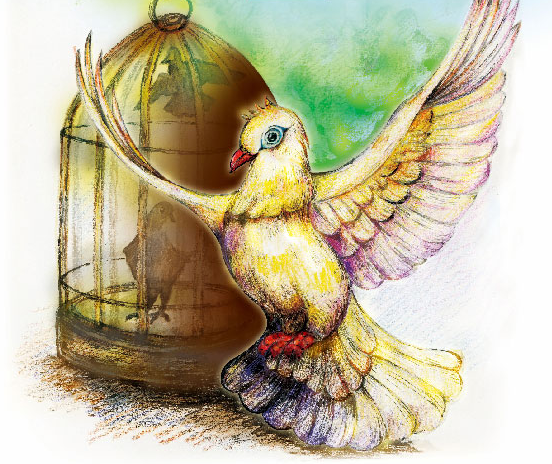 除贪离厄的鸽王