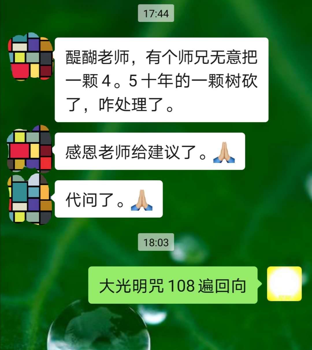 把一颗四五十年的月砍了，怎么办？