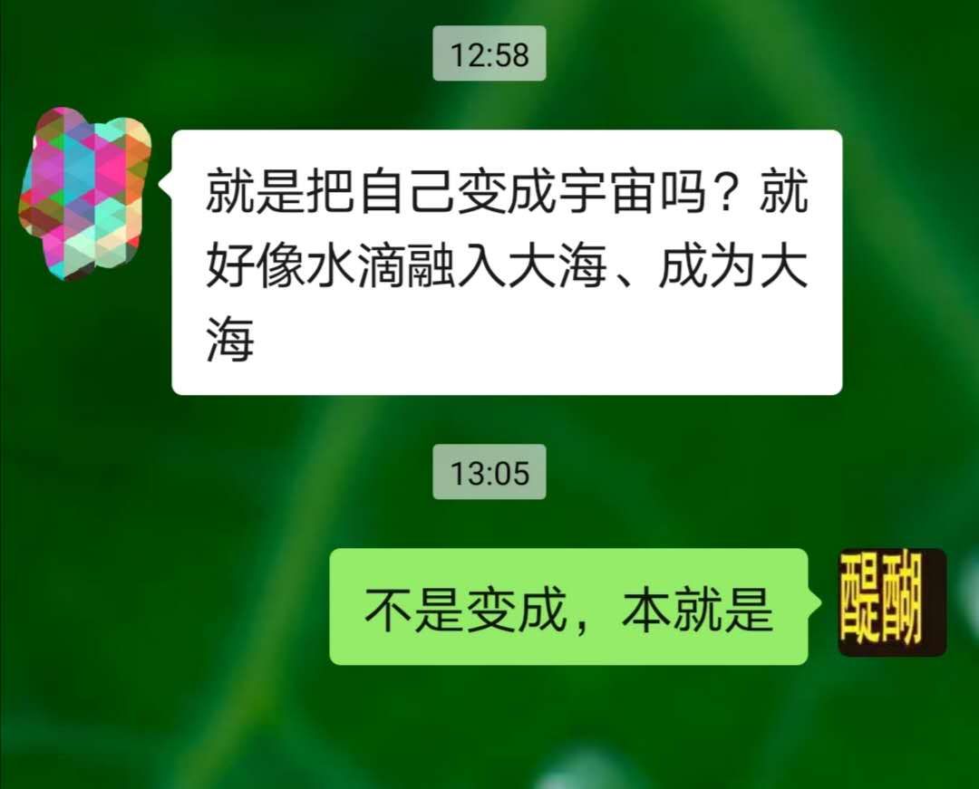 就是把自己变成宇宙吗？