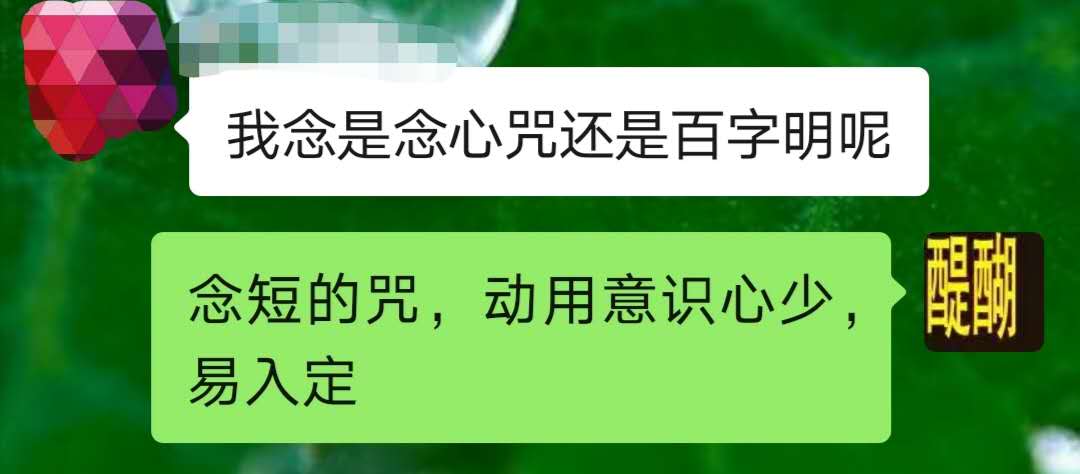 念短的咒，动用意识心少，易入定。