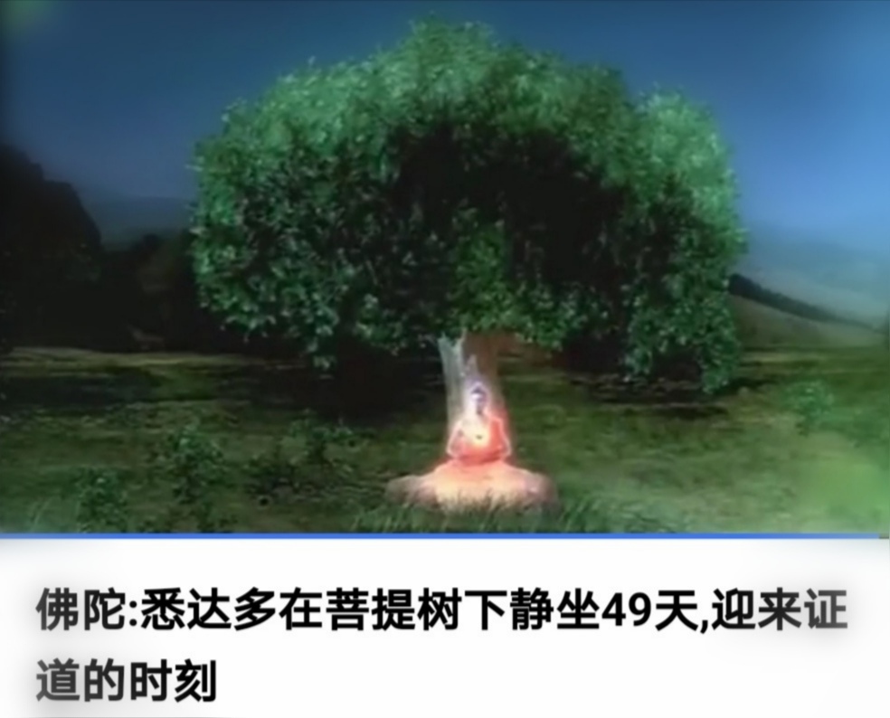 佛陀悉达多在菩提树下静坐49天，迎来证道的时刻。