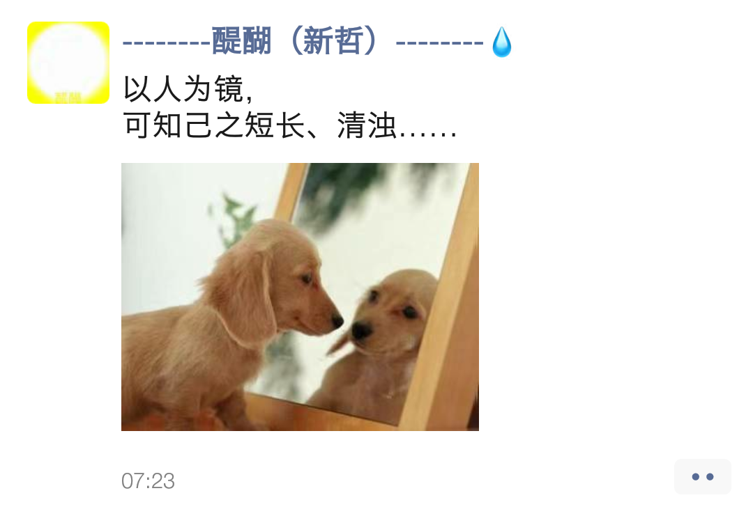 以人为镜，可知己之短长、清浊……