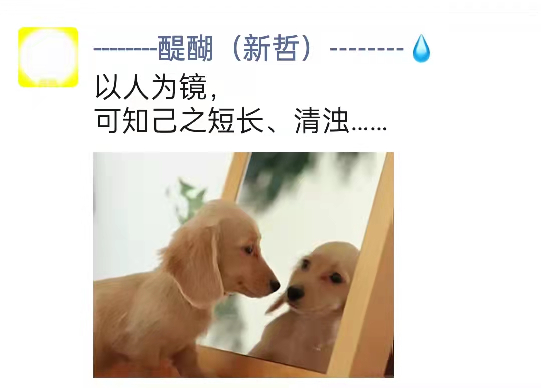 以人为镜， 可知己之短长、清浊……