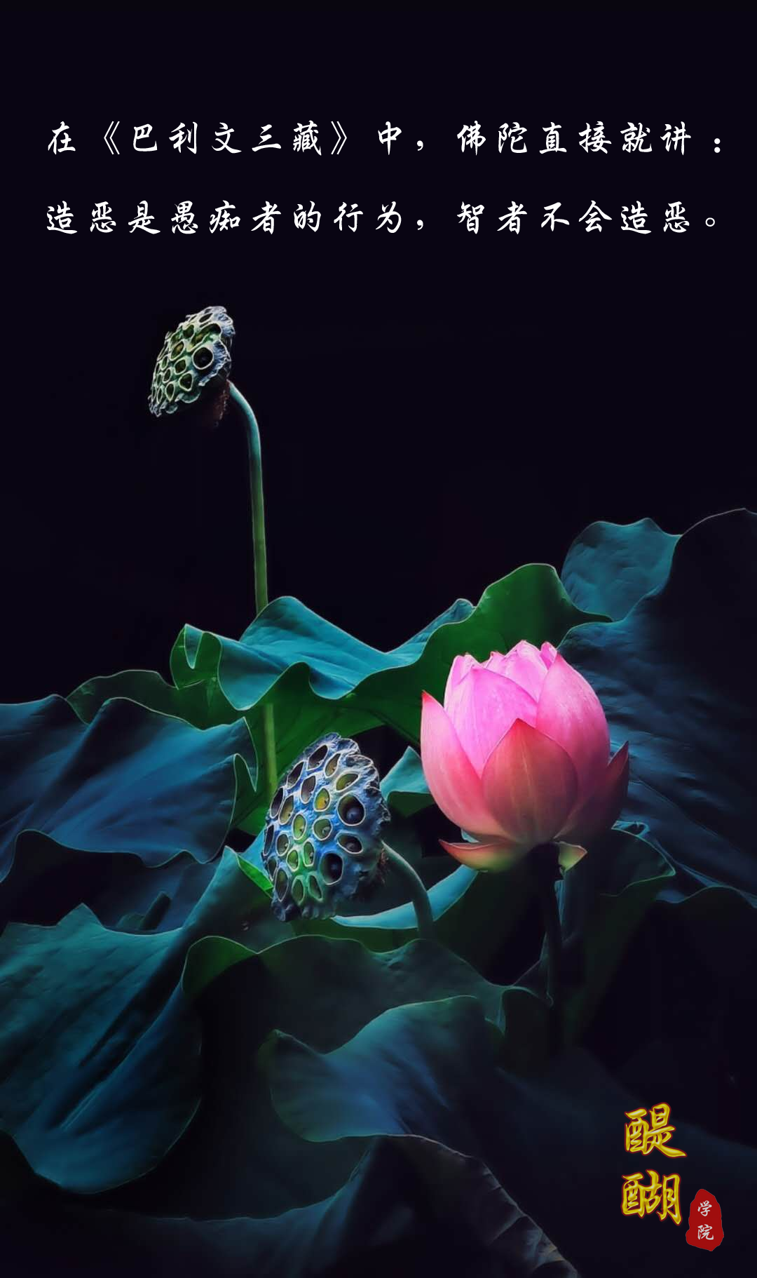 造恶是愚痴者的行为，智者不会造恶。