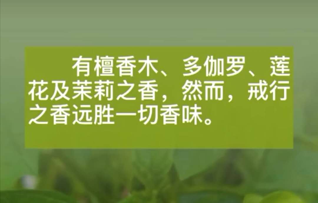 戒行香远胜一切香味