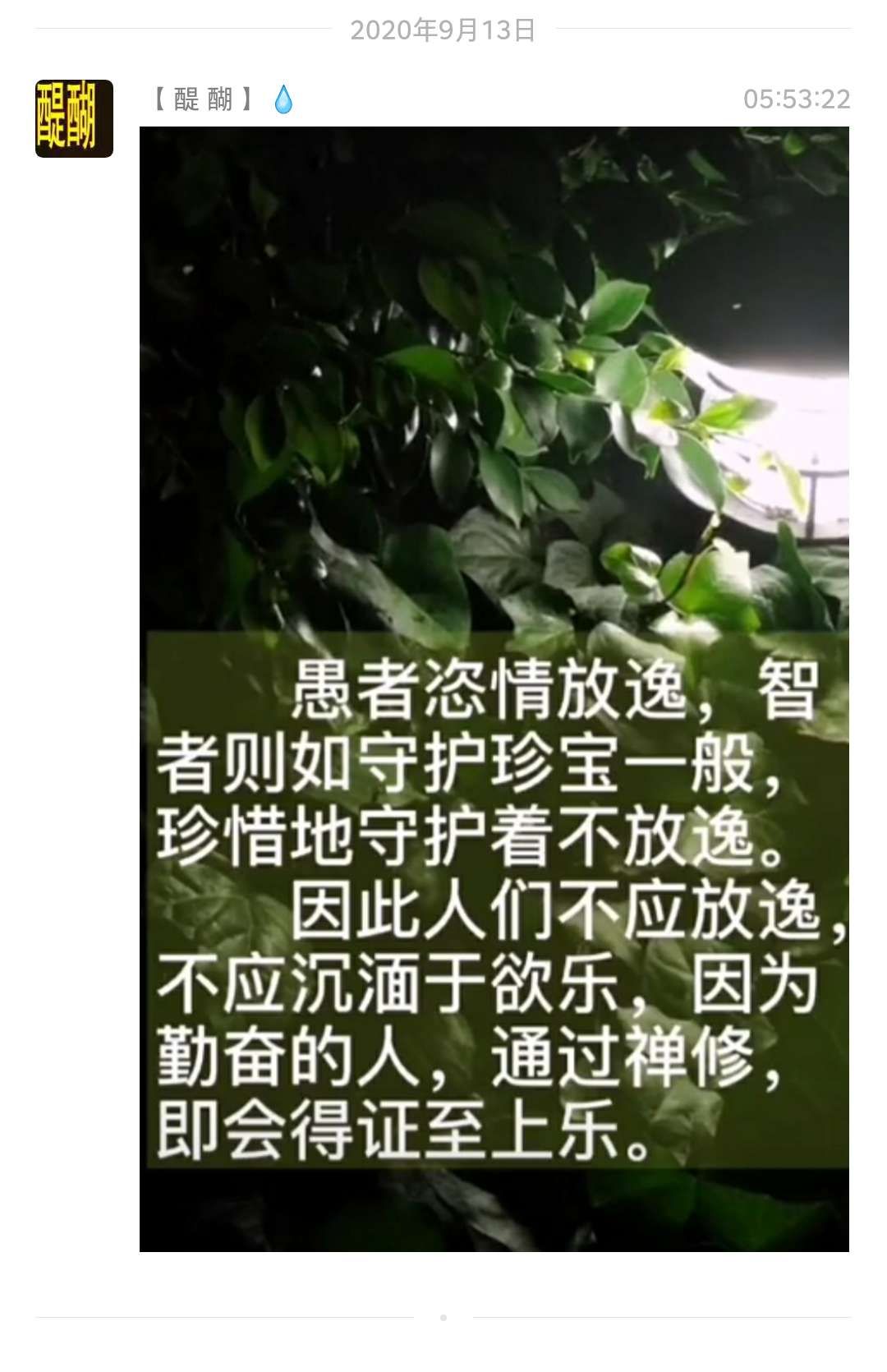 愚者恣意情放逸， 智者则如守护珍宝一般， 珍惜地守护着不放逸。