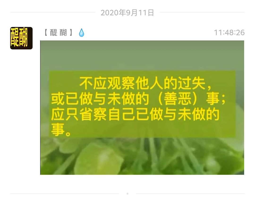 不应观察他人的过失，或已做与未做的（善恶）事；应只省察己已做与未做的事。