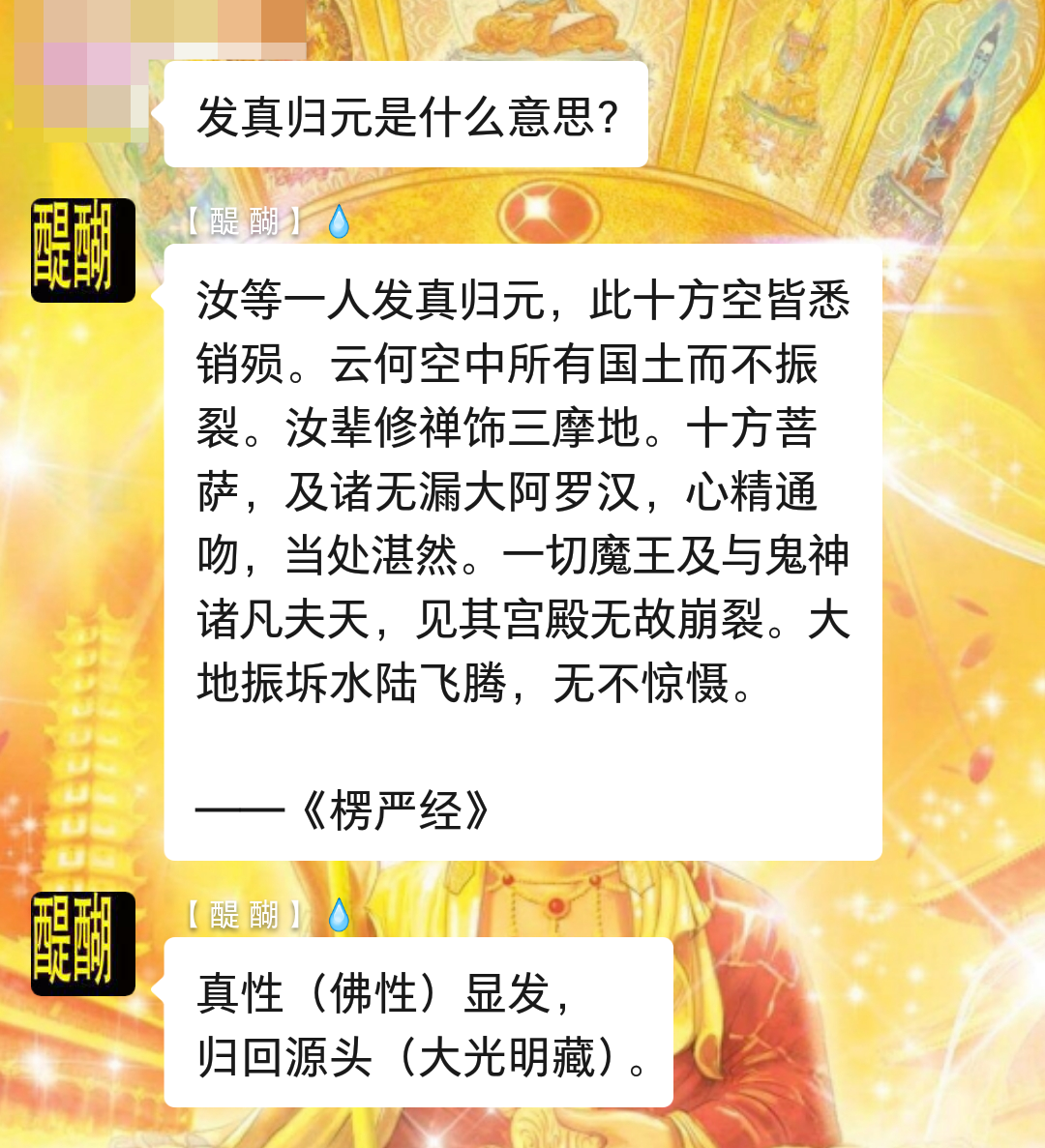 发真归元？真性（佛性）显发， 归回源头（大光明藏）