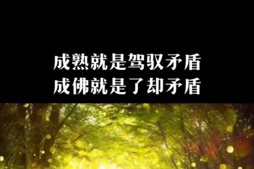成熟就是驾驭矛盾，成佛就是了却矛盾。