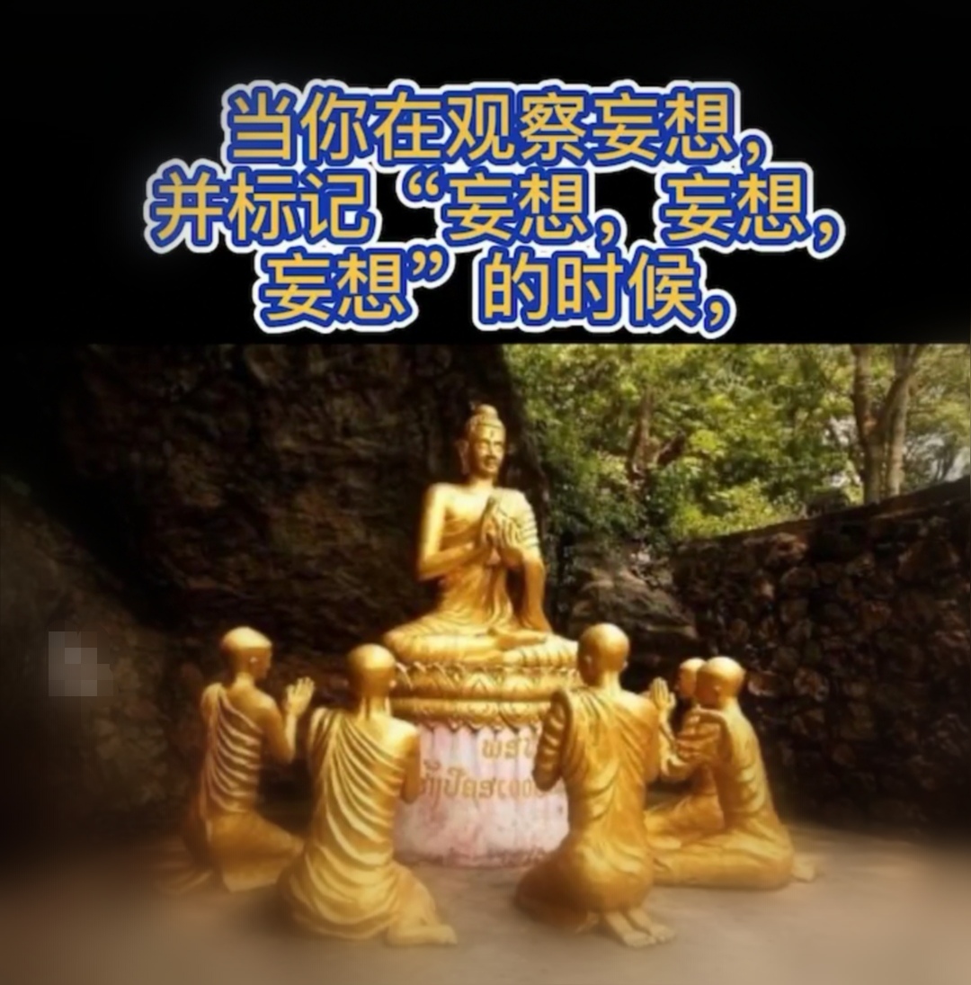 迅速生灭相续的心念在作用