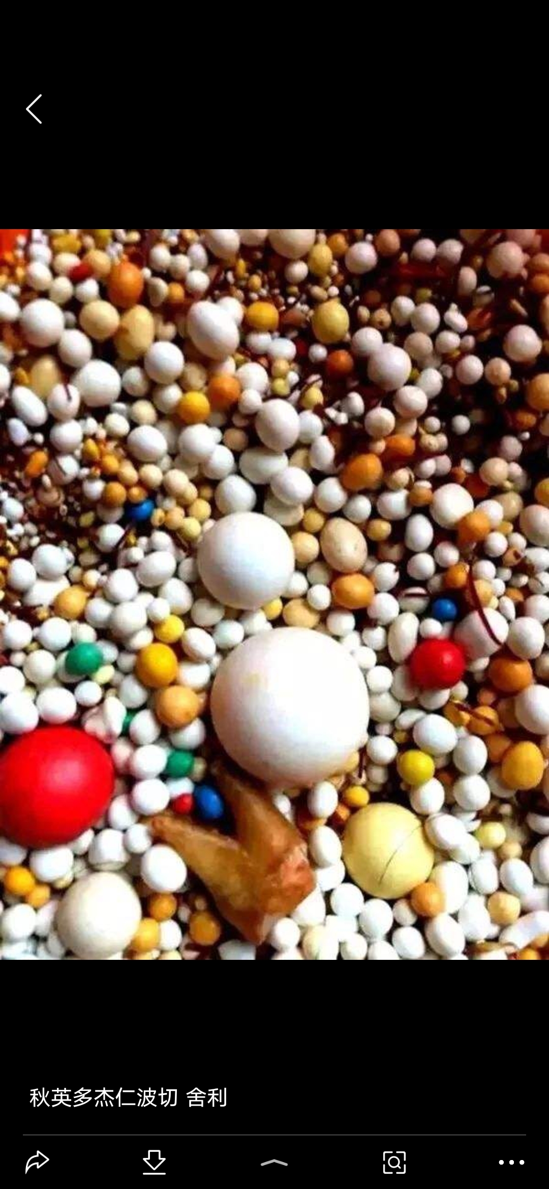 醍醐老师：万物皆粒子