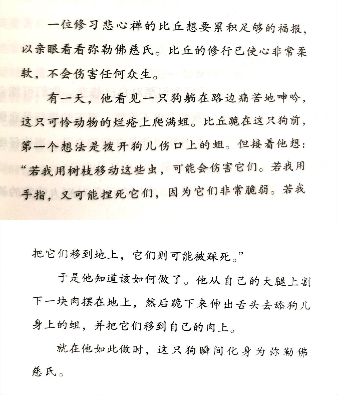 为救狗不伤蛆，比丘割自身肉，舌舔狗身上的蛆