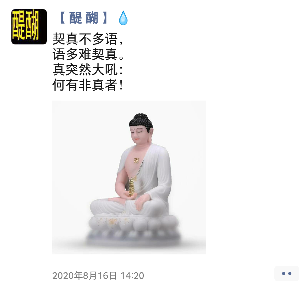 契真不多语， 语多难契真。 真突然大吼： 何有非真者！