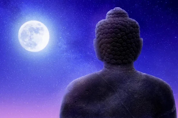 链子还在，只有你学会了承担！