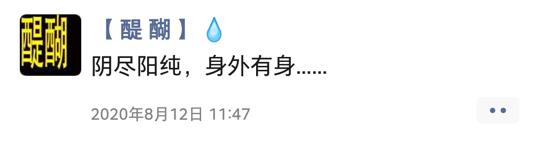 阴尽阳纯，身外有身……