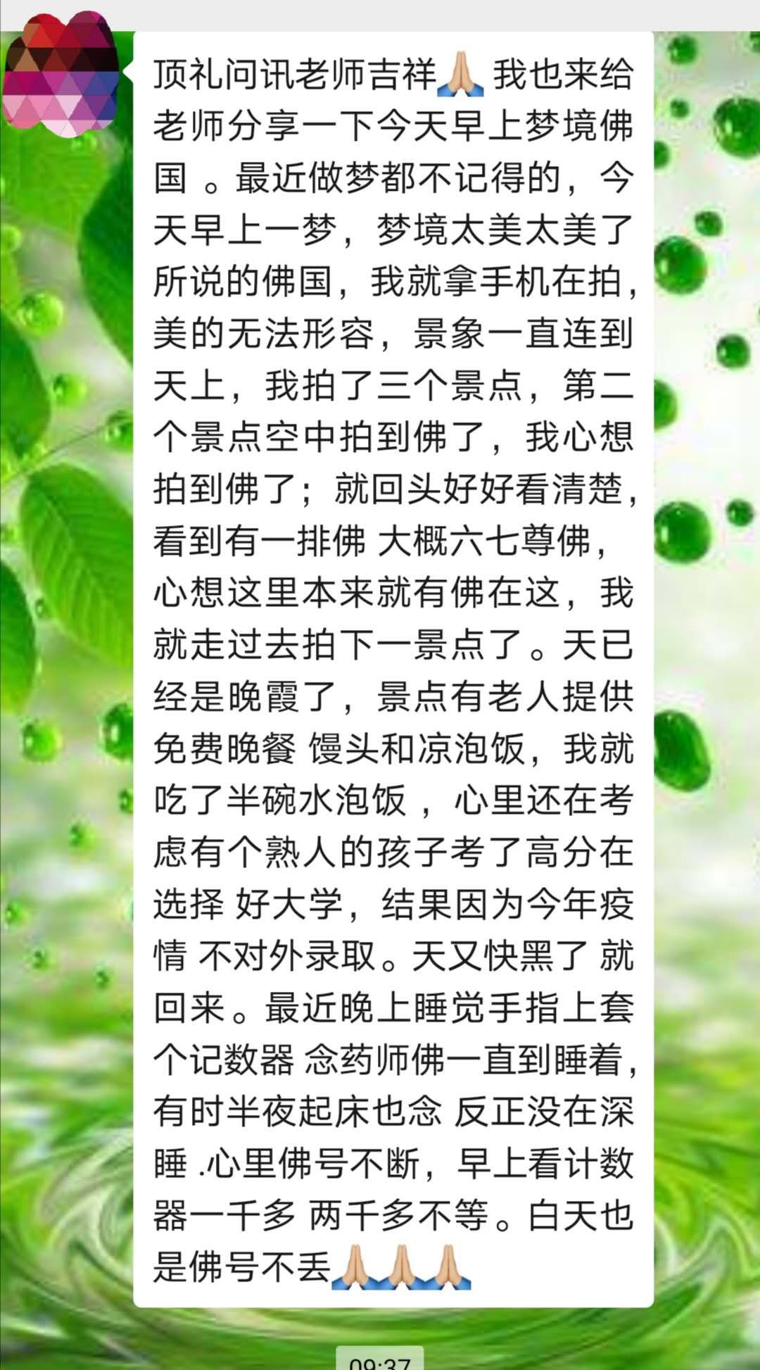 随喜赞叹师兄梦见佛国