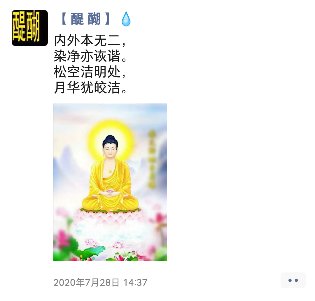 内外本无二， 染净亦诙谐。 松空洁明处， 月华犹皎洁。