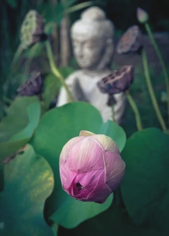 当我们内心生起烦恼的时候，你要静下来找出原因