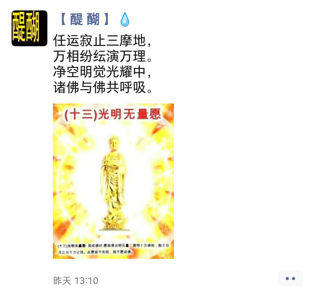 任运寂止三摩地， 万相纷纭演万理。 净空明觉光耀中， 诸佛与佛共呼吸。