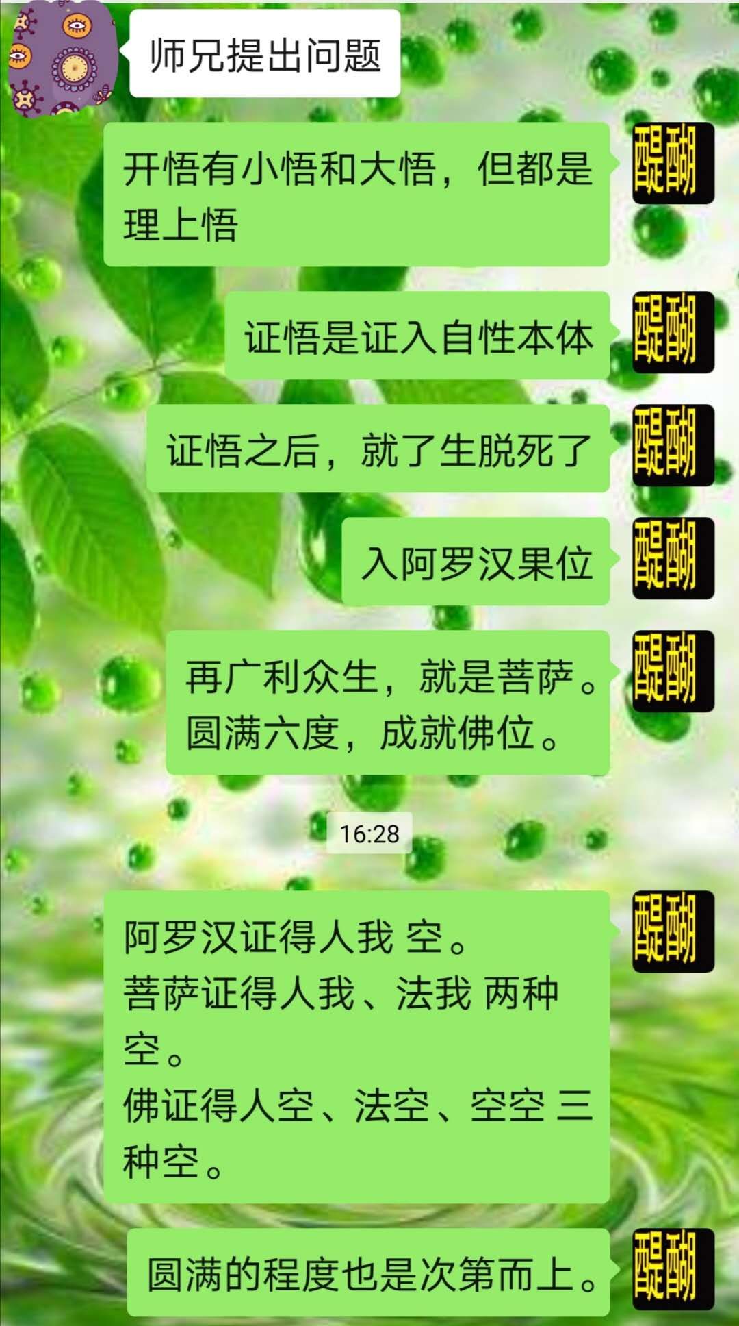 开悟 证悟 阿罗汉 菩萨  佛
