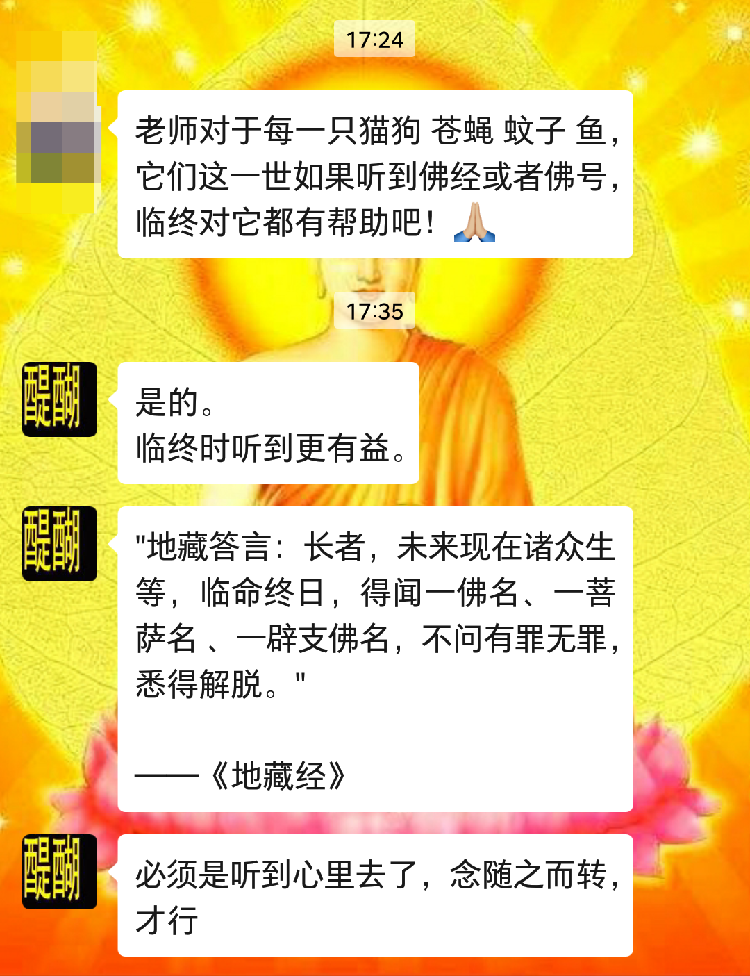对于每一只猫狗 苍蝇 蚊子 鱼，它们这一世如果听到佛经或者佛号，临终对它都有帮助吧！🙏