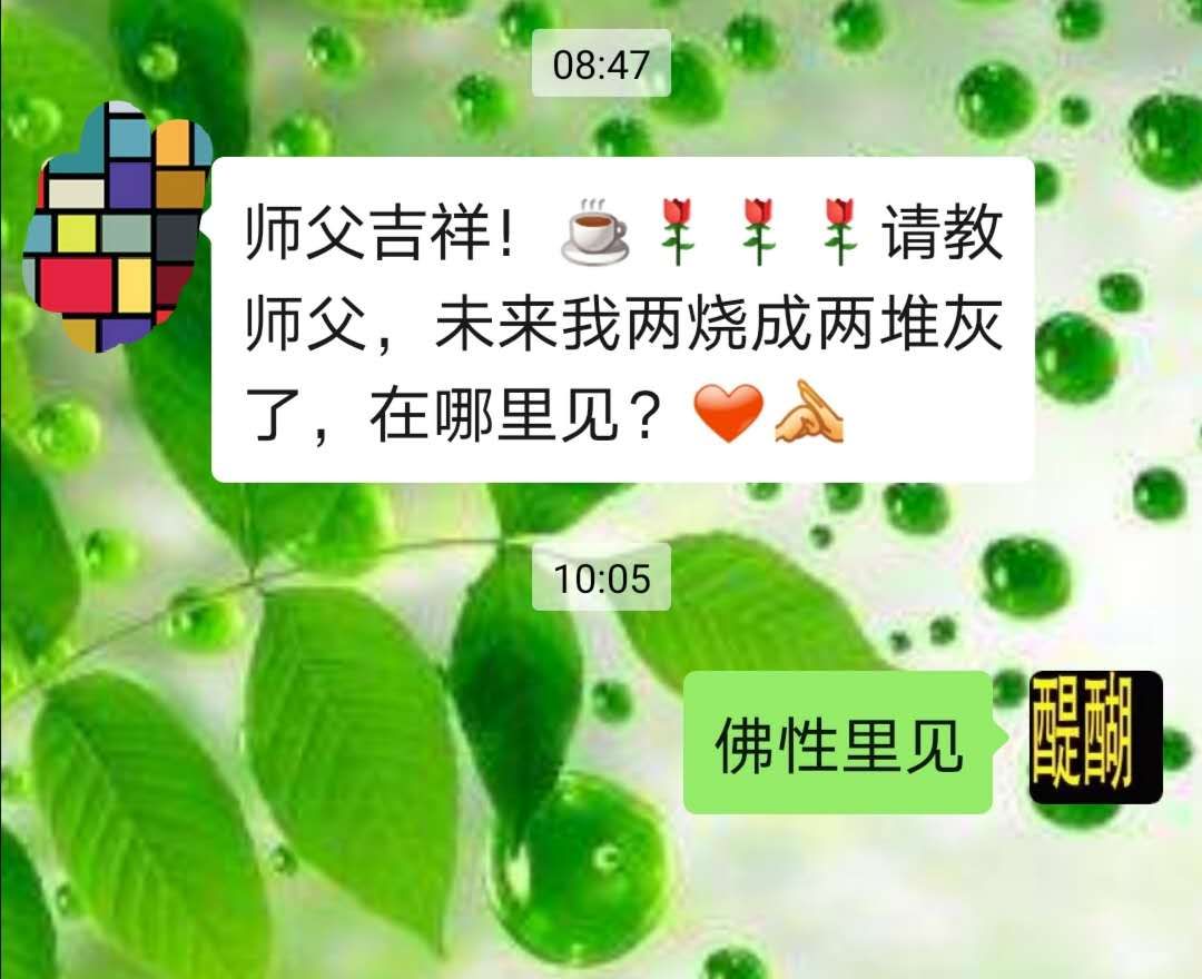 人死烧成灰了，在哪见？佛性里见