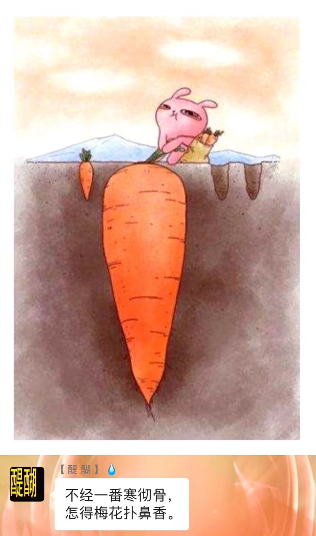 不经一番寒彻骨,怎得梅花扑鼻香。