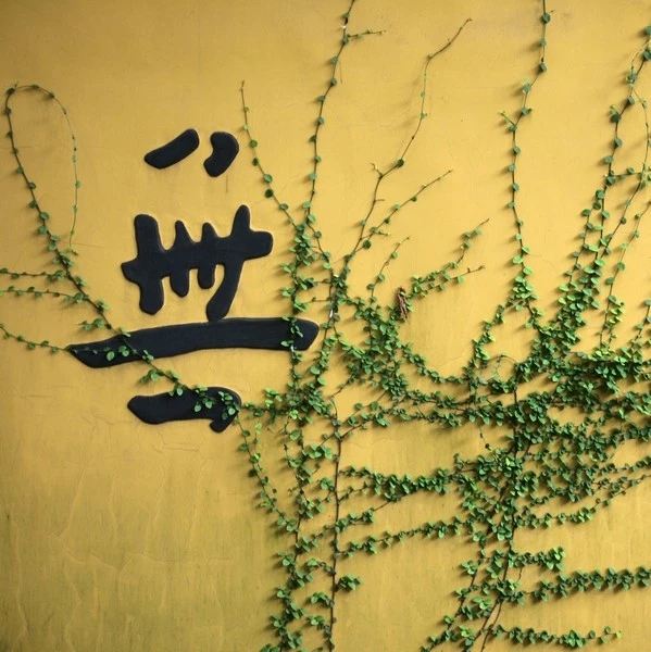 天人看见人间的修道者，会恭敬供养。不一定是财物，他们可能会在空中合掌，表达敬意。但你不要执著，有的人看见云彩变化或某处放光，心中执著，那便离佛道愈来愈远了。