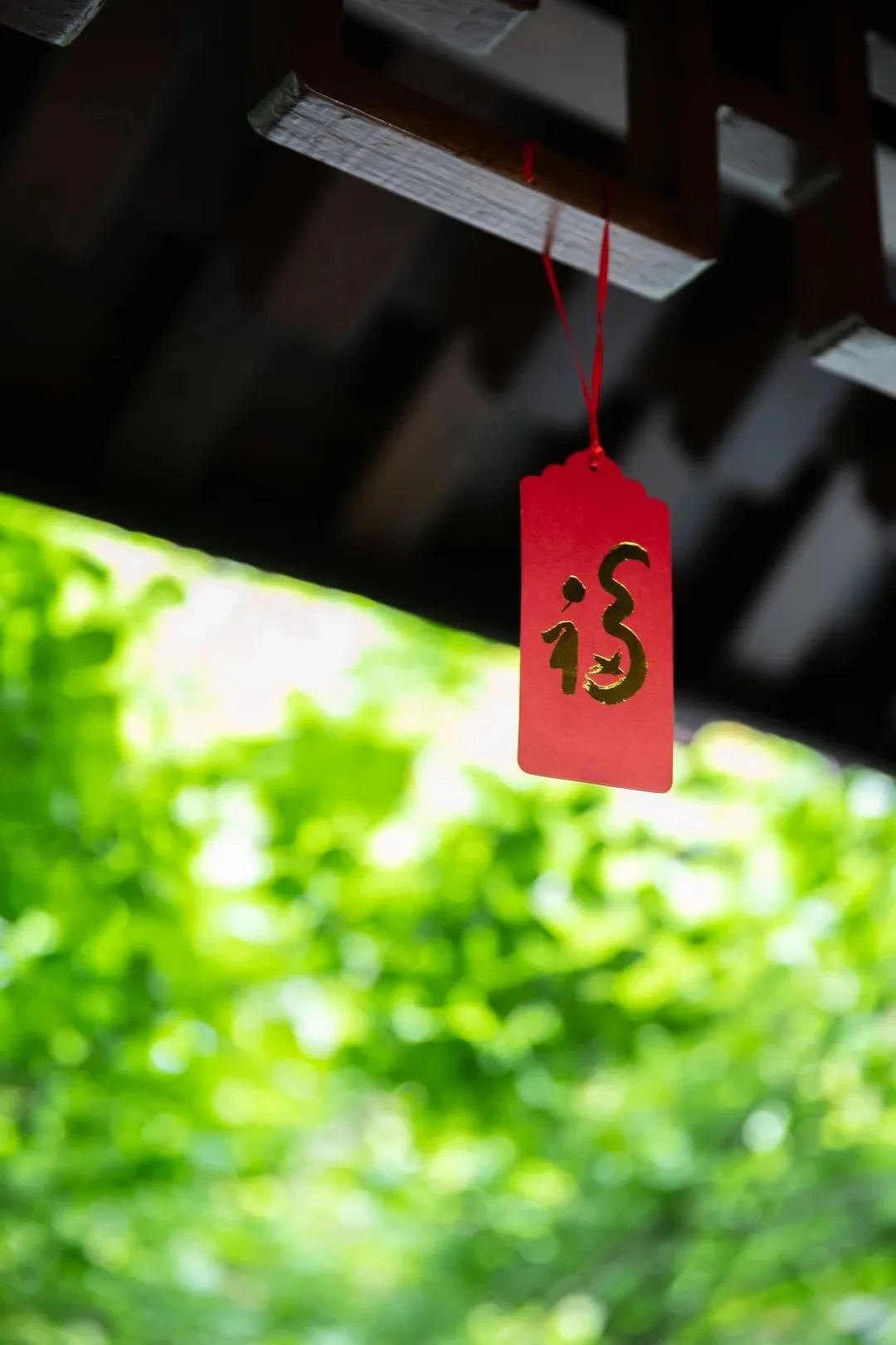 我们学佛之后，想要断恶修善，而无量劫来所造的恶业，会使你有些障道因缘。遇到病痛、灾难，要善用其心作还债想。你能这样认识，障缘冲过去了，真正的福德智慧会现前。