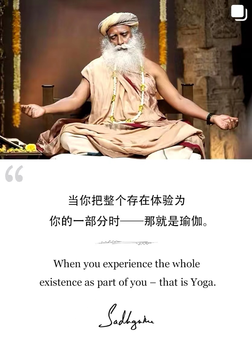 当你把整个存在体验为你的一部分时——那就是瑜伽。