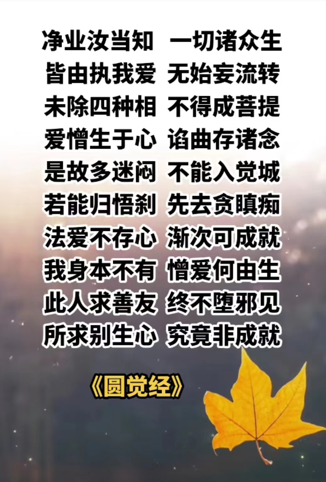 净业汝当知一切诸众生