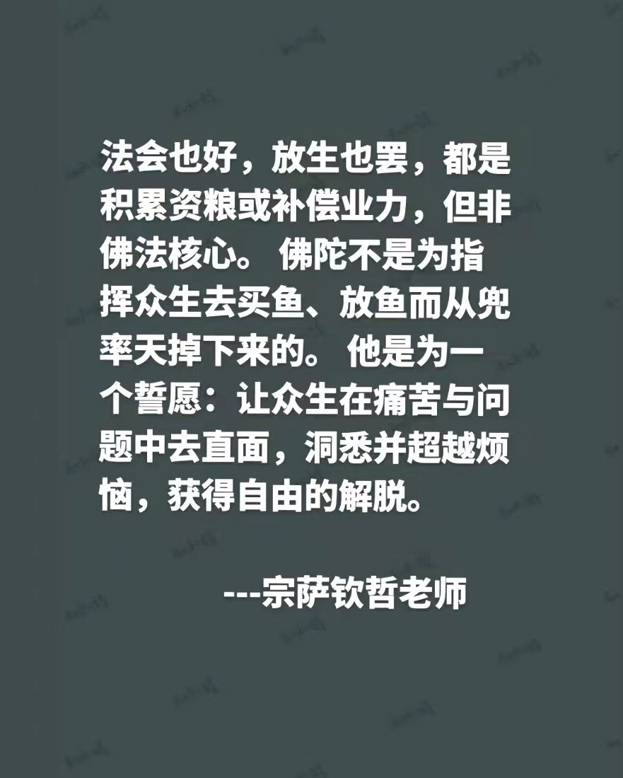 法会也好，放生也罢，都是积累资粮或补偿业力，但非佛法核心。