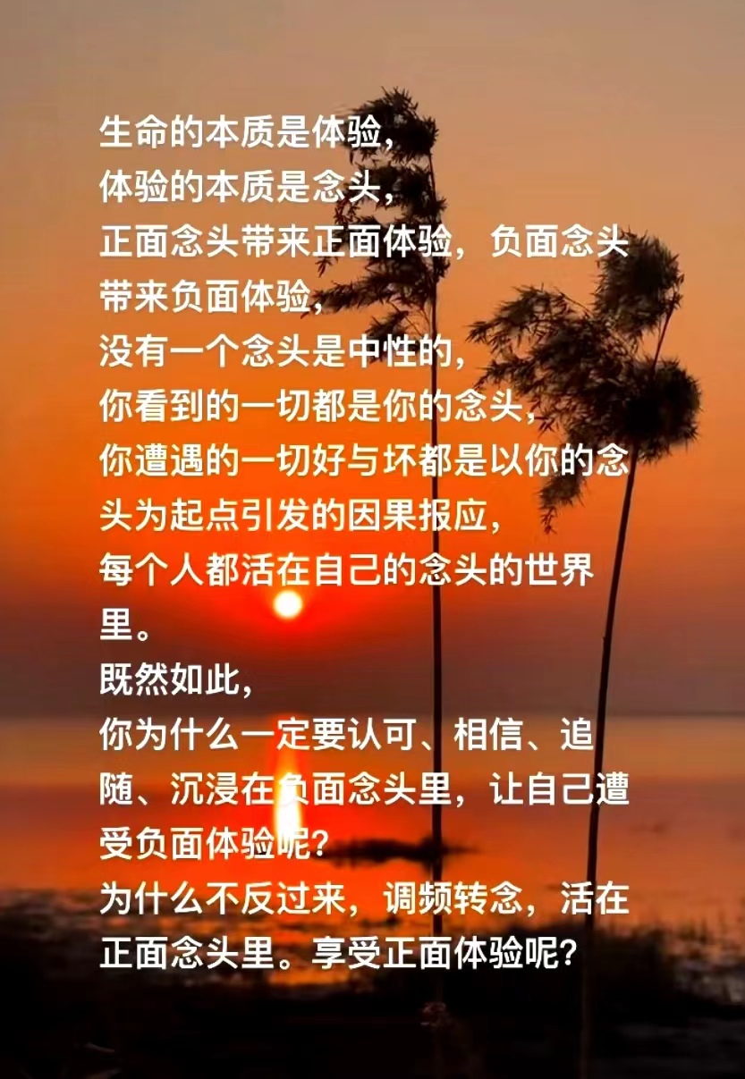 生命的本质是体验