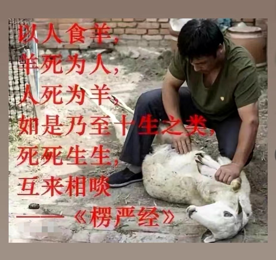 以人食羊