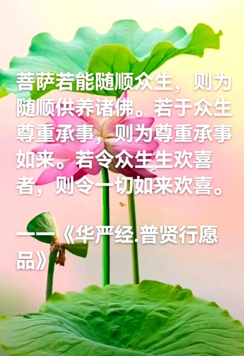 菩萨若能随顺众生