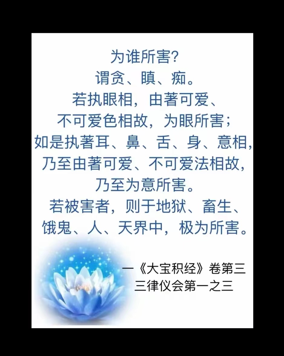 为谁所害?