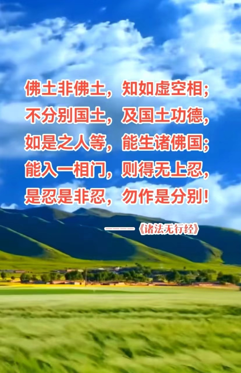 佛土非佛土，知如虚空相
