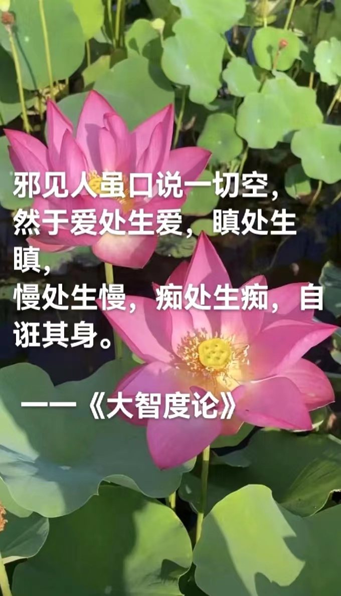 邪见人虽口说一切空