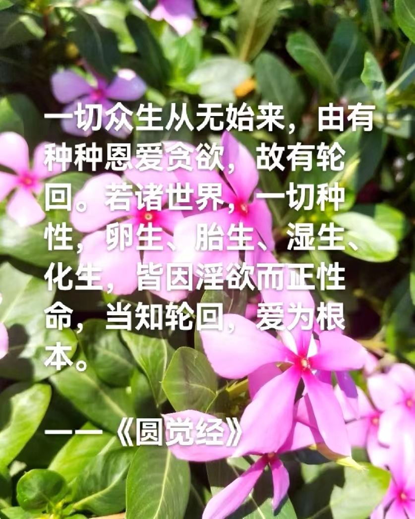 一切众生从无始来，由有种种恩爱贪欲，故有轮回