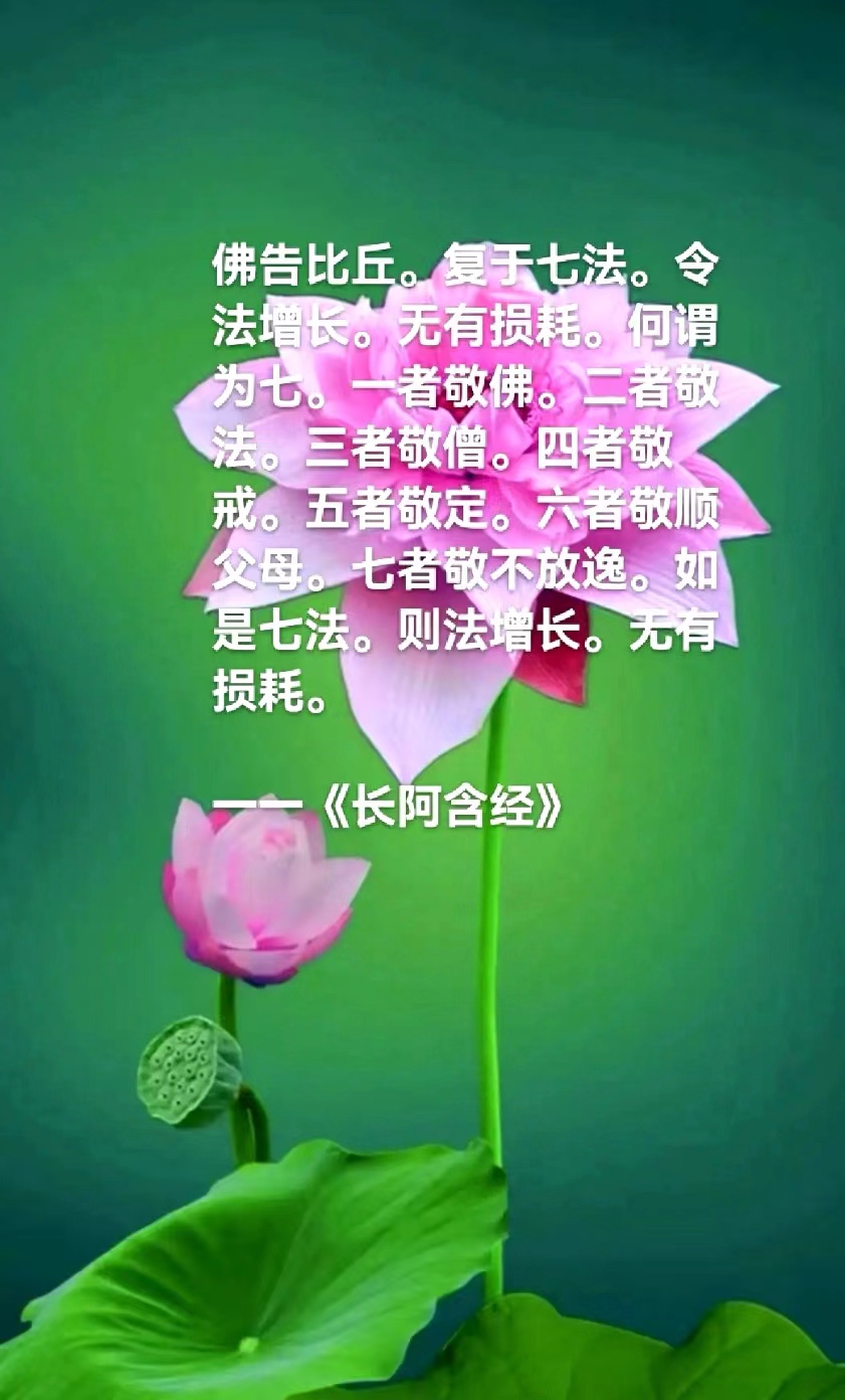 佛告比丘。复于七法