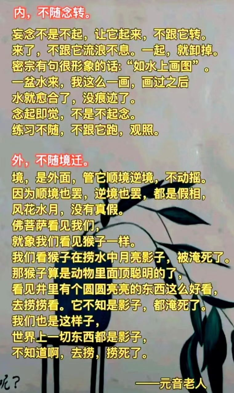 内，不随念转。